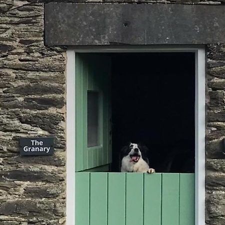 Dog Friendly Cottage, Geufron Farm Near Tywyn Bryn-crug Εξωτερικό φωτογραφία