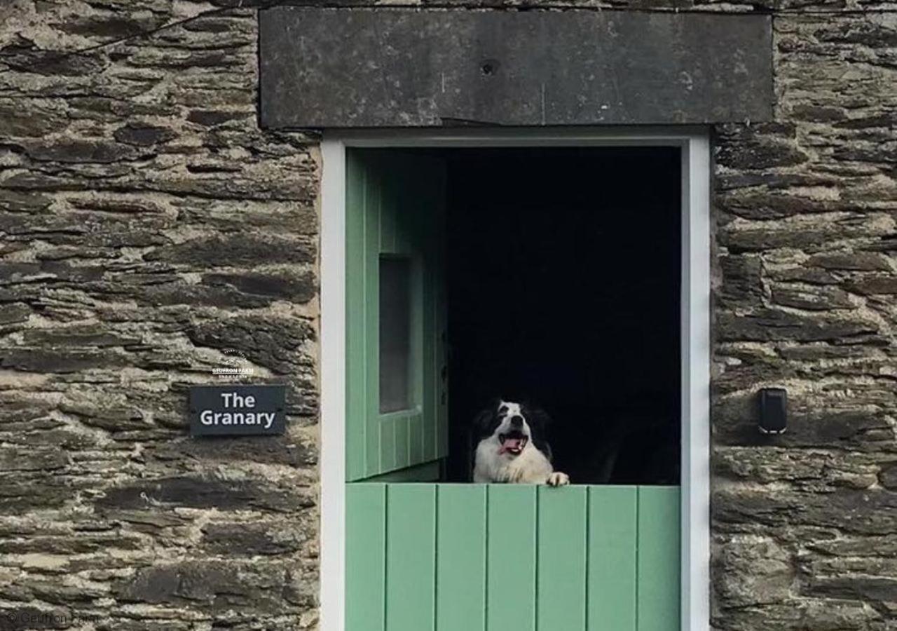 Dog Friendly Cottage, Geufron Farm Near Tywyn Bryn-crug Εξωτερικό φωτογραφία