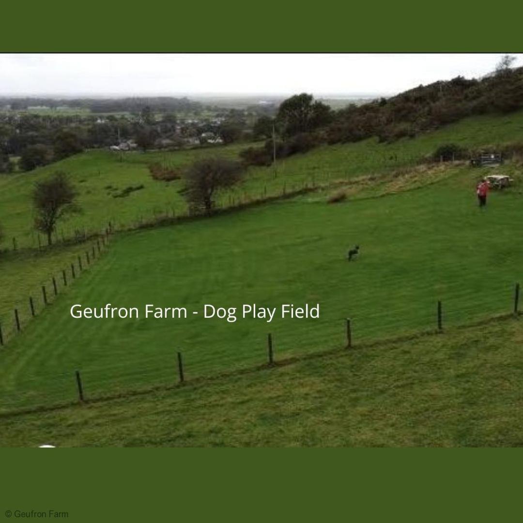Dog Friendly Cottage, Geufron Farm Near Tywyn Bryn-crug Εξωτερικό φωτογραφία
