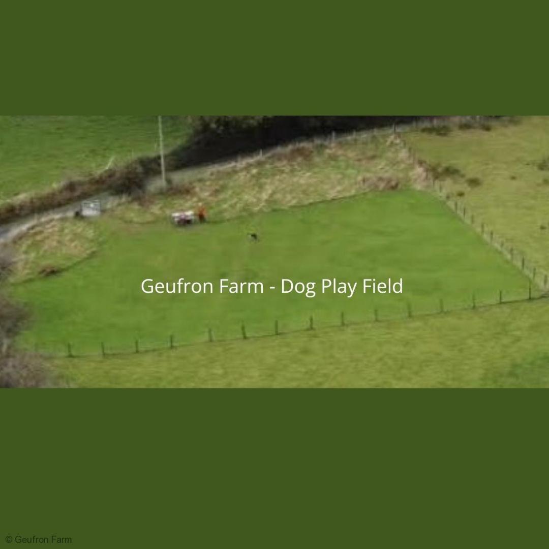 Dog Friendly Cottage, Geufron Farm Near Tywyn Bryn-crug Εξωτερικό φωτογραφία